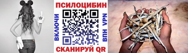 закладка  Йошкар-Ола  Галлюциногенные грибы мицелий 