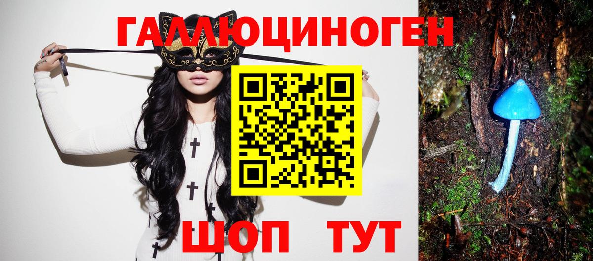 Йошкар-Ола  Галлюциногенные грибы Psilocybine cubensis  Вход с VPN 
