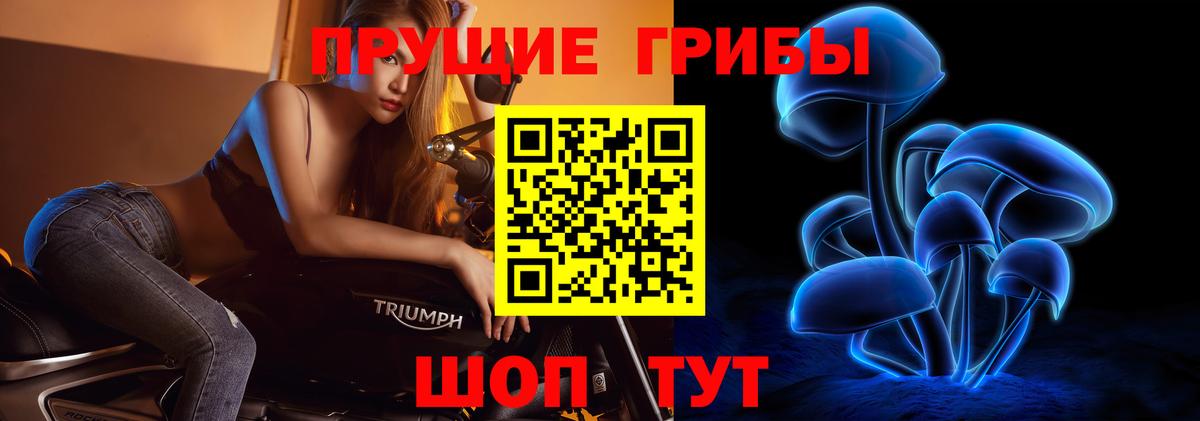 Галлюциногенные грибы GOLDEN TEACHER Йошкар-Ола